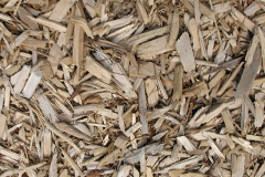 biomass boilers Monimail